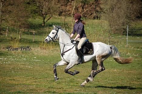 Anden særlig race Tristan <3 billede 1