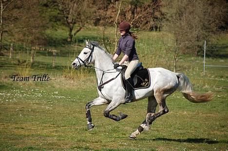 Anden særlig race Tristan <3 billede 1