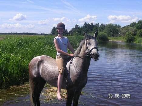 Anden særlig race Tristan <3 billede 4