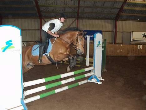 New Forest Enggaardens Frej - Mig og frej til førest spring time hehe :/ billede 5