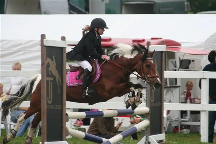 Anden særlig race Cool Spot*SOLGT* - munny er så dogtig billede 8