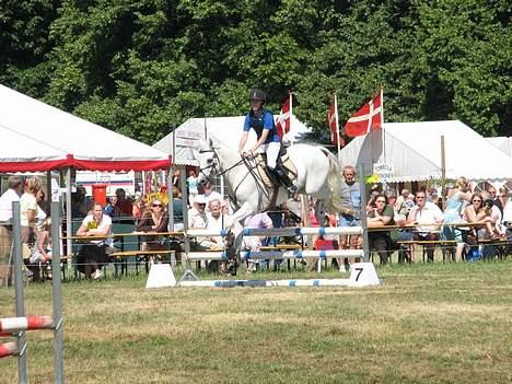 Connemara Maximillian af Ellebrud - Bregentved 2006 omspringning (Vandt for 1´ere ponyer) billede 10