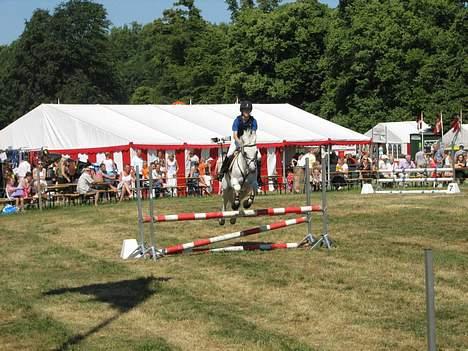 Connemara Maximillian af Ellebrud - Bregentved 2006 omspringning billede 11