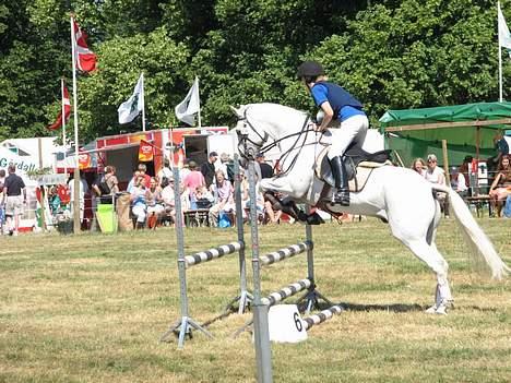 Connemara Maximillian af Ellebrud - Bregentved 2006 omspringning billede 12