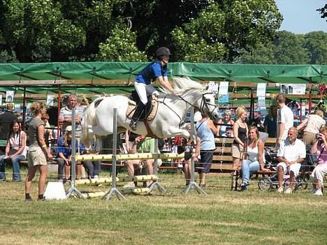 Connemara Maximillian af Ellebrud - Bregentved 2006 omspringning billede 13