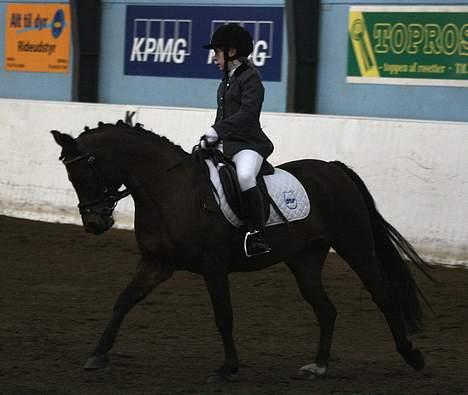 DSP Barbette - og så til stævne på skårupgaard, her rider vi en LC1. Foto: Morten højholt (sarahs far) billede 18