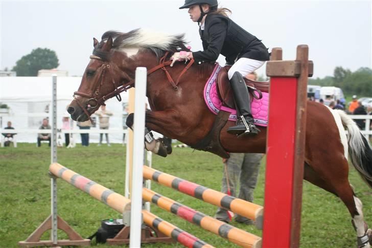 Anden særlig race Cool Spot*SOLGT* billede 11