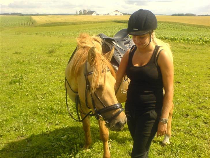 Anden særlig race Sejelstrups Vanessa, MEN LILLE HEST PÅ 156 57 i st - Her står Vanessa sammrn med emilig og skal til at sede op på hinde. ejer Heidi billede 2