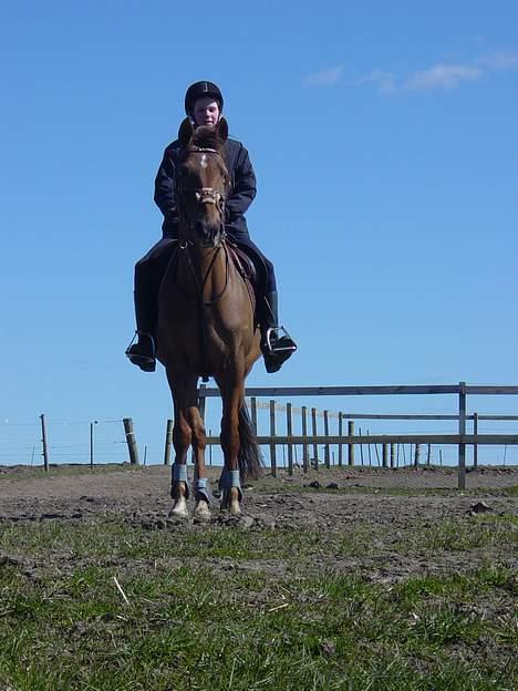 DSP Mia<3 solgt billede 4