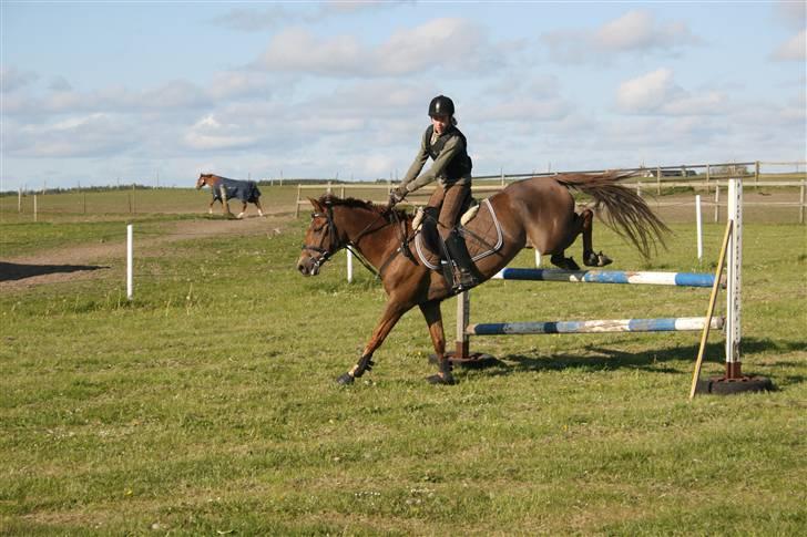 DSP Mia<3 solgt billede 6