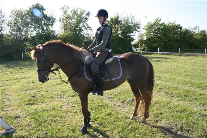 DSP Mia<3 solgt billede 7