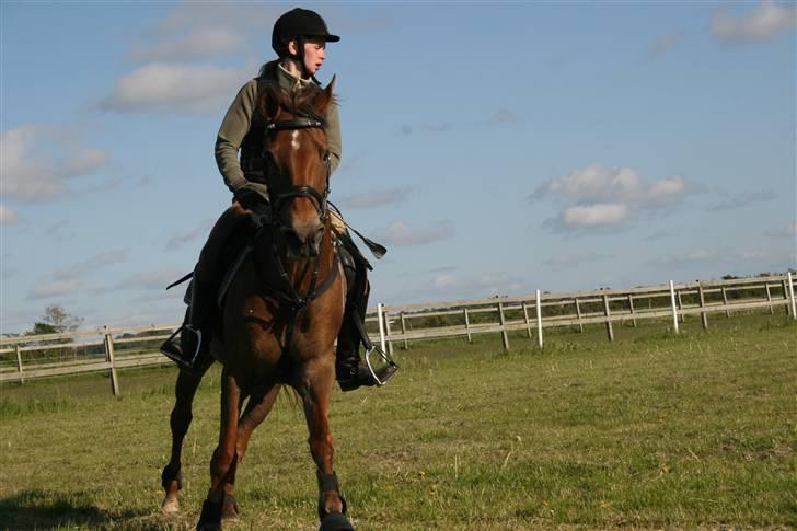 DSP Mia<3 solgt billede 8