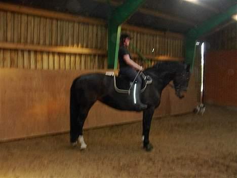 Oldenborg Cille  billede 3