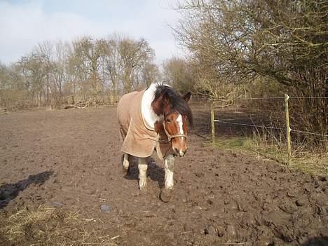 Anden særlig race Dakota - "Jeg kommer nu..." (; billede 13