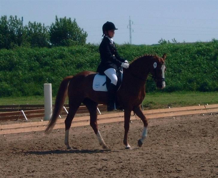 DSP Cassie - Cassie <3 billede 15