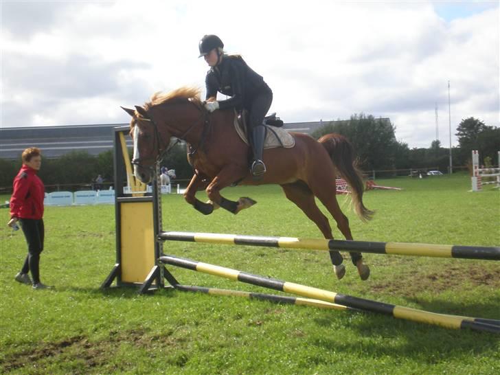 Anden særlig race Prins Piscala*Gamle part* - Prins og mig 29/8 2008 så solt af dig den dag [fotograf: Rikke]  billede 8
