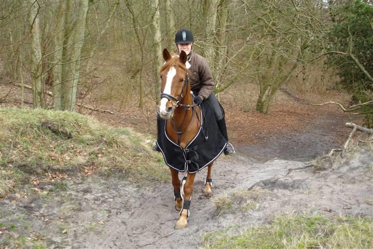 Anden særlig race Prins Piscala*Gamle part* - Mig og Prins på tur i skoven da han var halt =( [fotograf: Belinda] billede 10