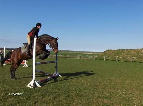 Oldenborg Bibi Kærgård - Super springhyp på ca. 95cm. Fotograf; Heidi billede 15