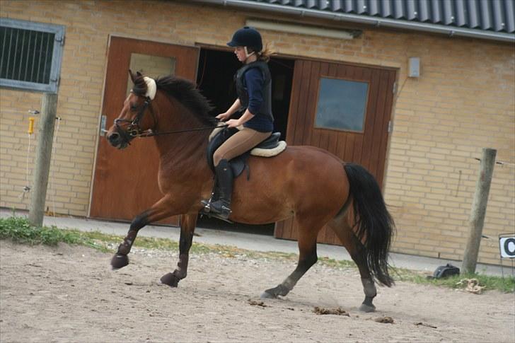 Anden særlig race Nuggi - #18 Juni 2010 billede 18