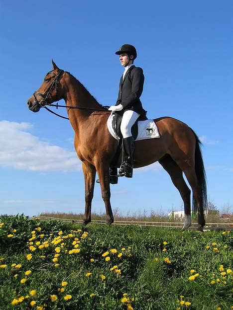 Arabisk fuldblod (OX) Emma ox (solgt) - tørring 21/04-2007 billede 17