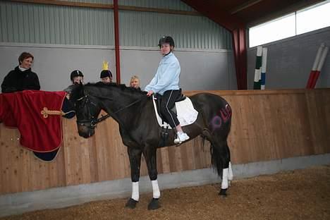 Dansk Varmblod carello "Solgt" - til fastelavn da jeg var ole dér var ude og ride haha det var en sjov dag!! billede 16