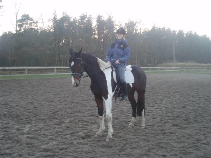 Pinto Korshøjs Wholly Cæsar - D. 13 feb. Mig selv på Cæsar (Fuglslev) billede 6