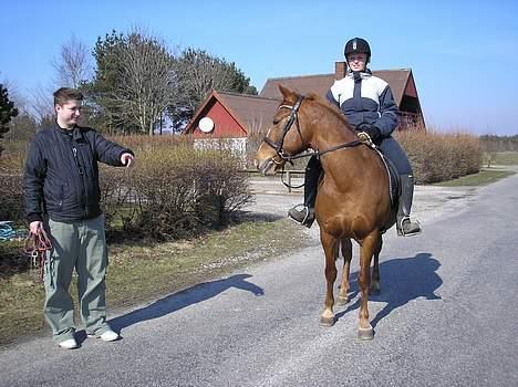 DSP Safirs Laika - Laika, Gitte og Anders Stald Tannebæk forår 2007 billede 7