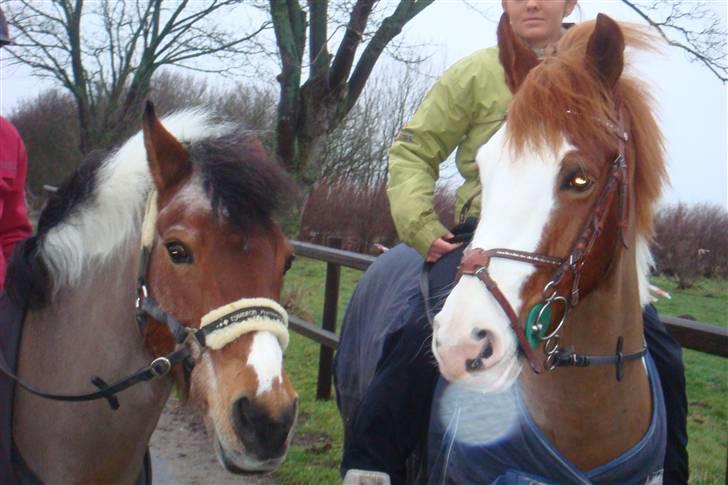 Anden særlig race Cool Spot*SOLGT* - Fuck jeg elsker dig ubeskrvligt meget skat ! sidder næsten og tuder når jeg tænker på dig ! billede 12