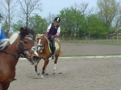 Anden særlig race Cool Spot*SOLGT* - et mega sjov billede billede 13