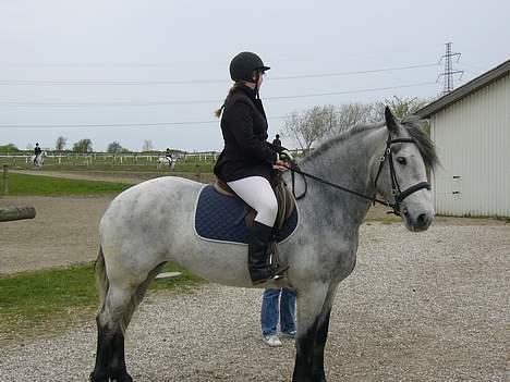 Anden særlig race Beauty  - Beauty og jeg inden vi skal ind på banen - første stævne (Foto: Far) billede 18