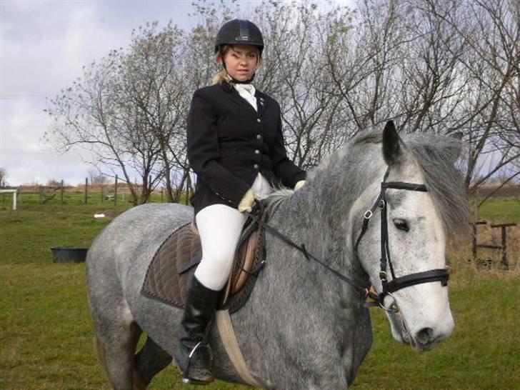 Anden særlig race Beauty  - Uha - så skal vi ned til ridehuset og stå klar.. Der var nerver på ;) (foto: Min mor) billede 19