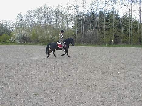 Anden særlig race Anastasia - Mig og Anna d.20/4-07 billede 14