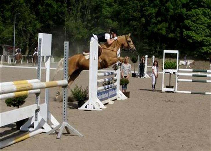 Anden særlig race                     Rain  billede 10