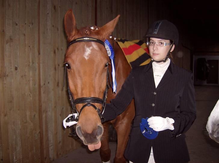 Dansk Varmblod Elmegårdens Le Carre - Træt??? Hvad mener du dog mor!? hehe en meget lang stævne dag på Skovly billede 18
