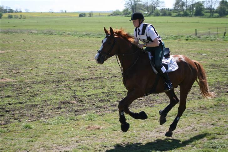Oldenborg Mosegården Dukat solgt - gennem mål til militarystævne på søbotggård billede 15