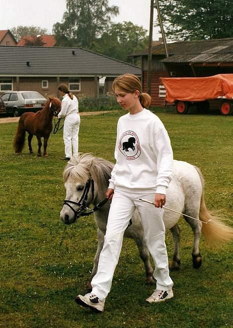 Shetlænder Lyøkons Tusnelda *død* - Tusse og mig på dyrskue i Odense. 1997/1998 måske... billede 8