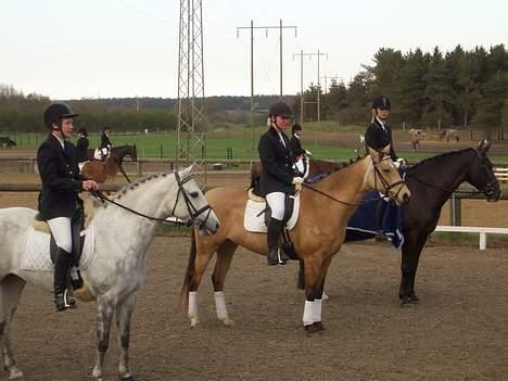 Oldenborg Katcha - 1,2 & 3. vi  fik hvis den grønne. billede 18