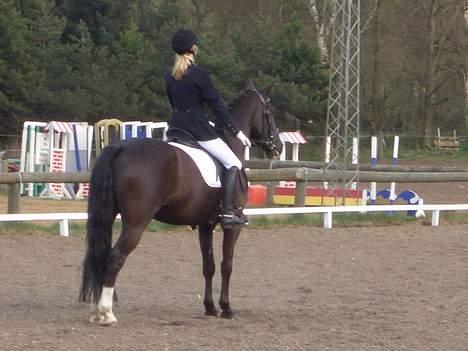 Oldenborg Katcha - Hils. billede 19