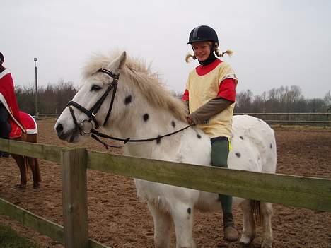 Anden særlig race Don Felix - felix og jeg til fastelavn billede 1
