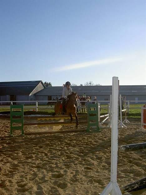 Anden særlig race Nielsen's Little Star  - Springtræning på SVR billede 2