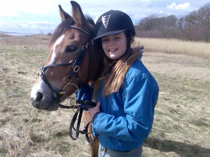 Anden særlig race Nielsen's Little Star  - Pony og jeg på tur  billede 7