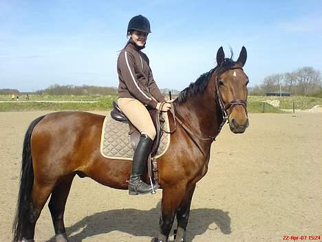 Oldenborg Jeppe af Østerholm (SOLGT billede 2