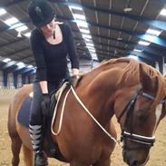 Anden særlig race Kalua<3