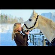 Anden særlig race Hyldens Hearty Fellow