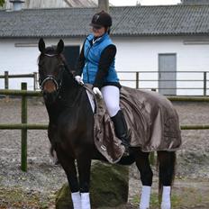 Oldenborg Malika af vindblæs