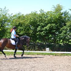 Oldenborg Malika af vindblæs
