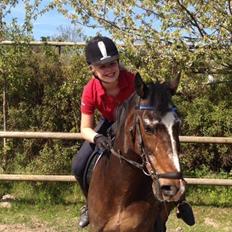 Tysk Sportspony Vämpy