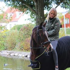 Dansk Varmblod Fantasy [Tidl. part]