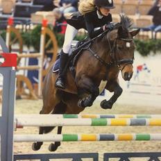 DSP Bæklunds Arquette