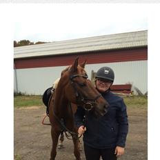 DSP Toftlund's prins-chi